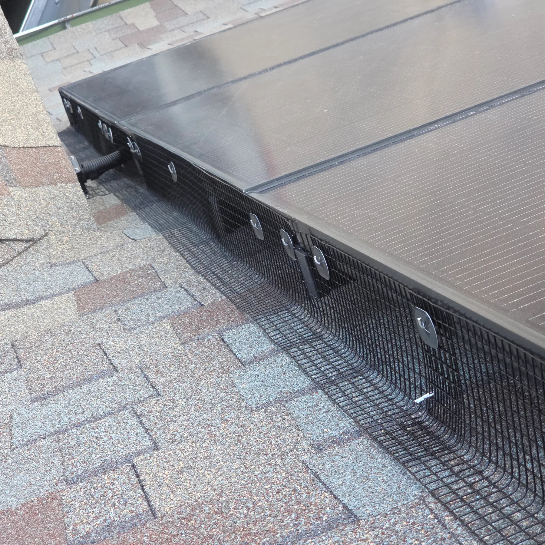 Black PVC-coated mesh critter guard clipped along the edge of a rooftop solar array on composition shingles